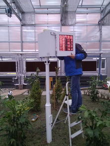 成都市大邑西街小学校园大棚温室气候与土壤环境监测系统 科技赋能智慧农业教育新实践