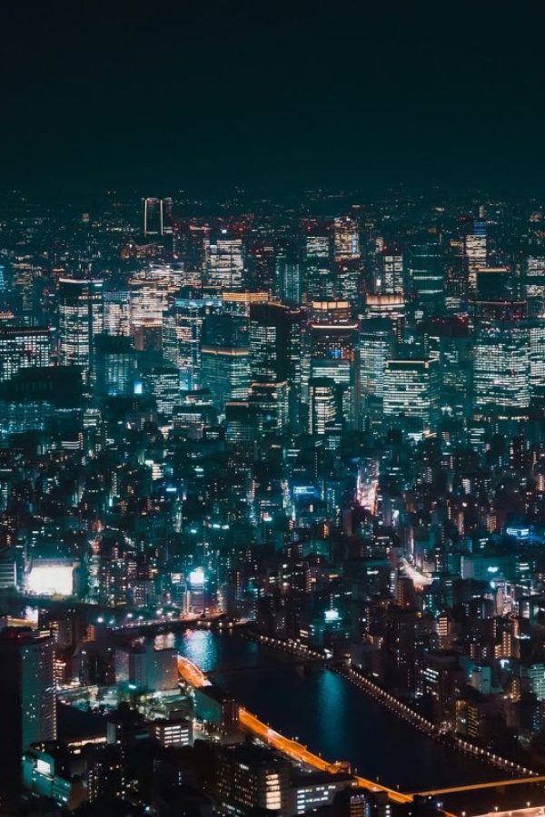 皇家社会